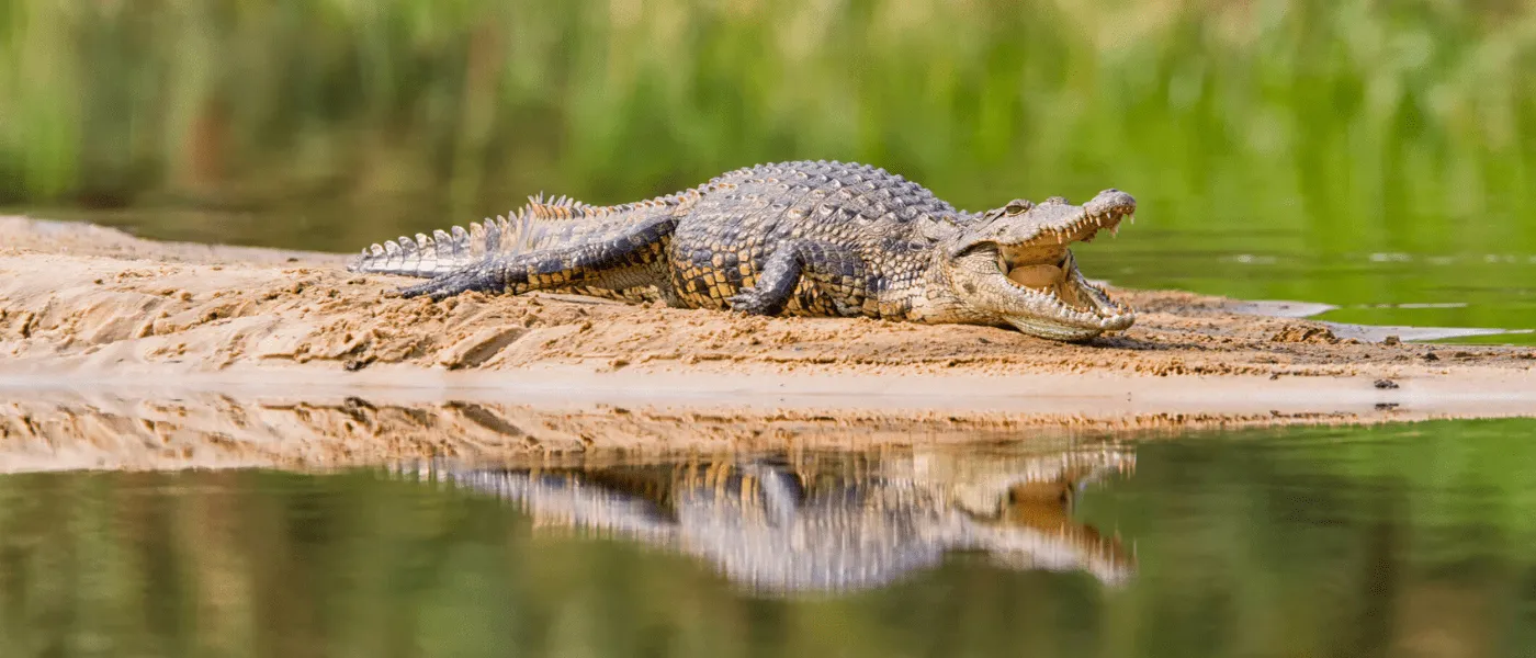 Moments at Caprivi Mutoya Lodge 17