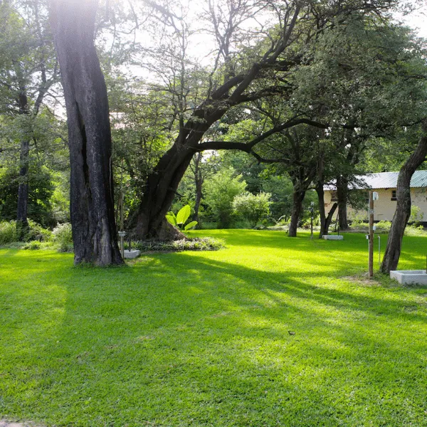 Caprivi Mutoya Lodge campsite grounds
